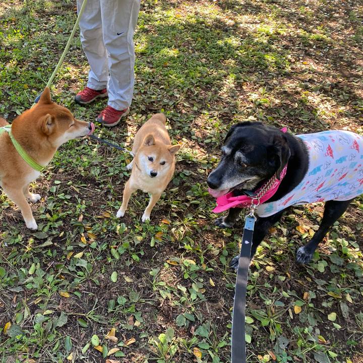 5dbe9893 e0aa 493d b311 4300248b127d 1728816930999