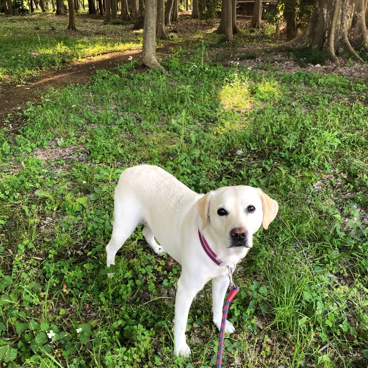 5dbec34b 201b 443b 979b e5d26c1aaca3 1653534756278