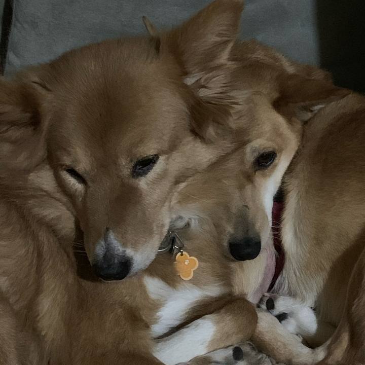 5dbf0f53 2a64 4dc7 b29a 4e692dd6e8d5 1641772754577