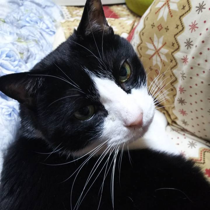 5dbf155e 9318 48cb a9a1 a6801611f3d4 1549455826786