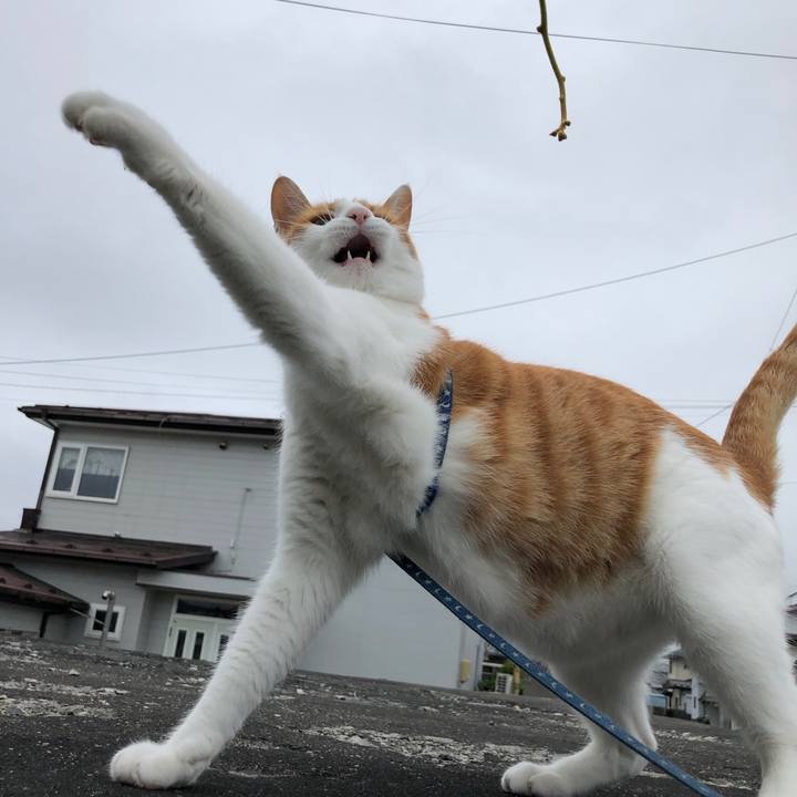 5dbf245d b351 42a8 af81 29a91e869a1e 1564014421749