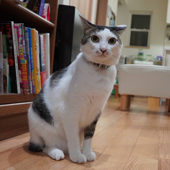 5dbf2643 a2c3 4dc8 bbae 59360aead207 1604893768561