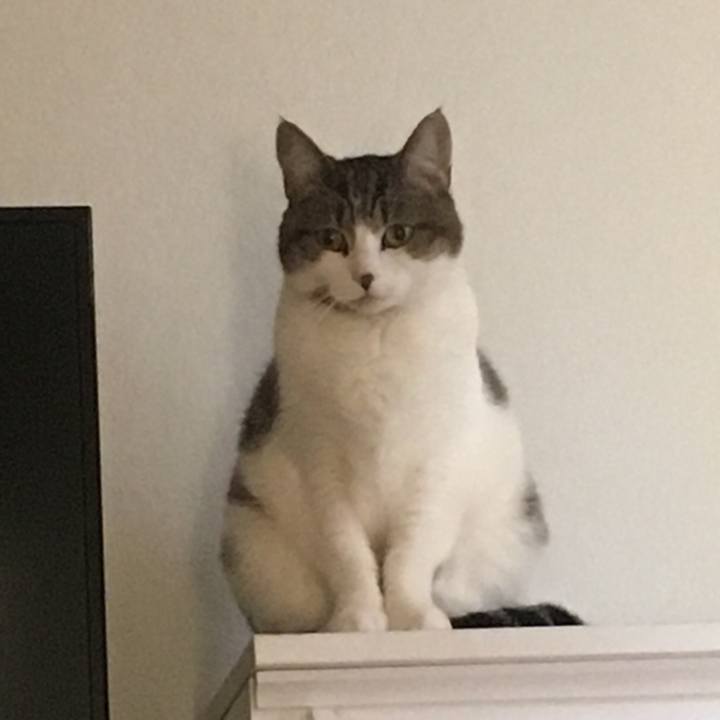 5dbf90bf 6723 4801 b784 520c2e03c545 1693797220103