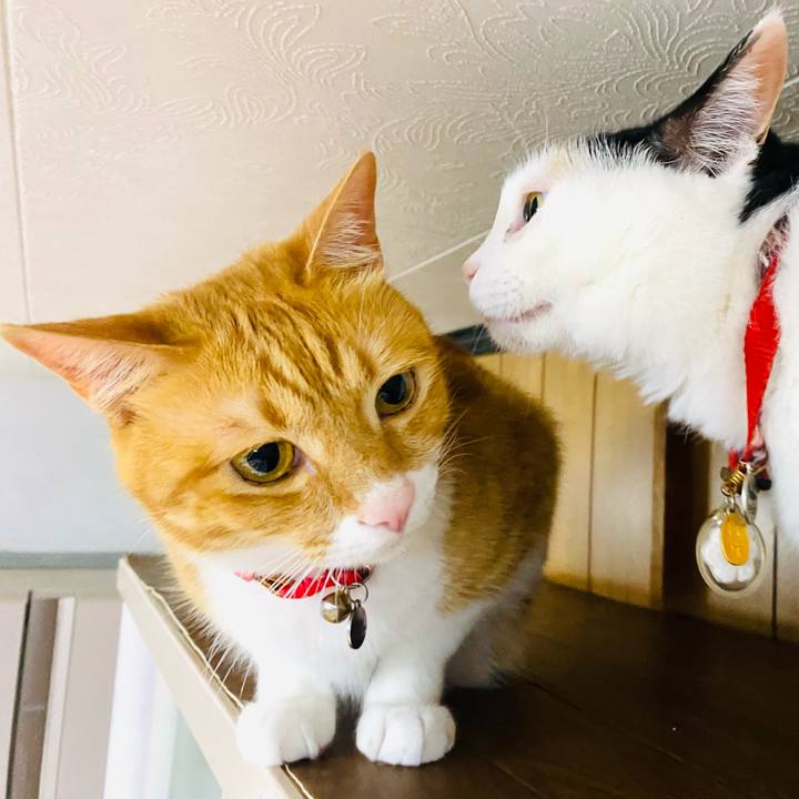 5dbfaa93 bec2 468c b728 4ea8bf31d5ae 1719579135781