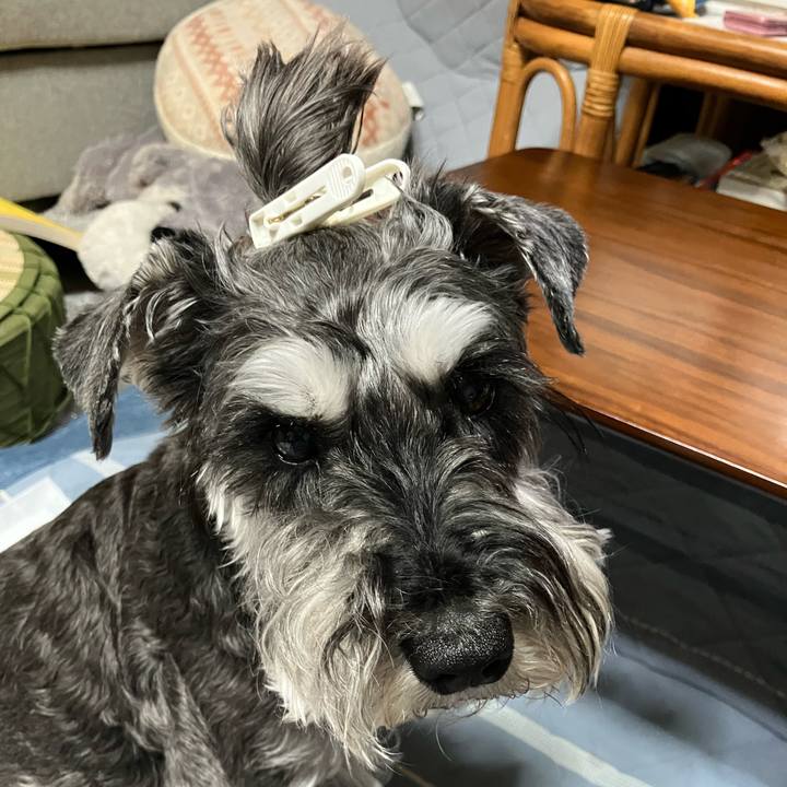 5dbfc96c 3185 454b befc 246fd1eb7f7b 1749959458050