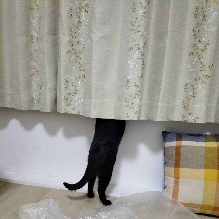 5dbfdeac 59c4 46fb a6e3 9bd391cce2d5 1681991454934