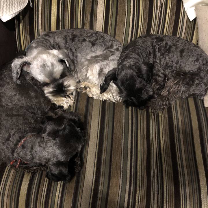 5dbff0ac 7f12 4526 b255 b94e0e57fca7 1580382492944