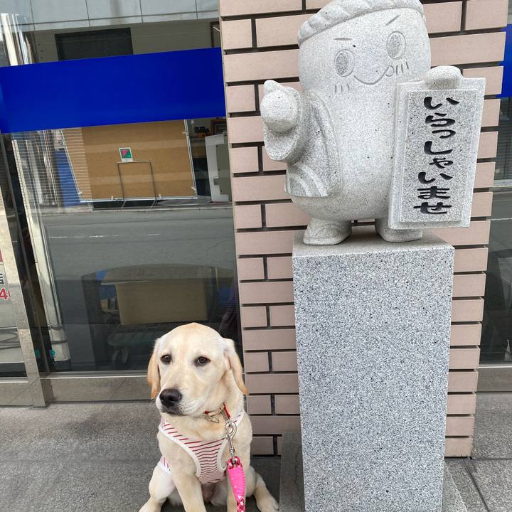 5dc0034c ffa1 4dc6 91c5 ba098f3e0149 1619493908536