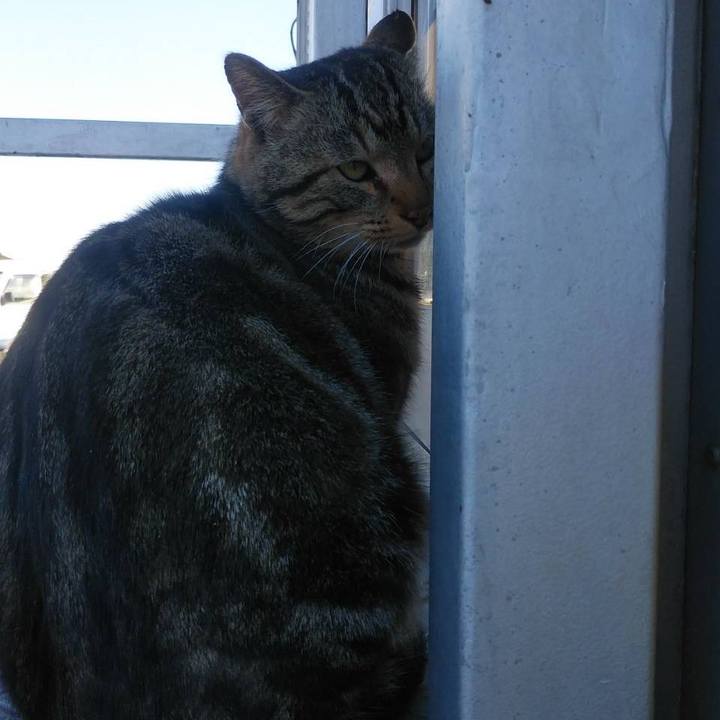 5dc031ea 71b5 4b3c 8d7d 0f9d02ed6ac9 1584407362011