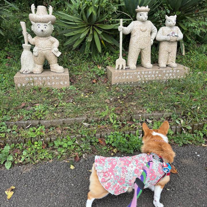 5dc04a85 8a50 4feb 9f51 1997c8836842 1760344432724