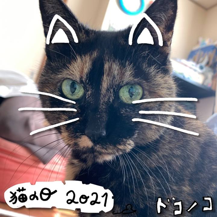 5dc071f0 0d77 4d22 8fde 77233eaf61eb 1613978061111