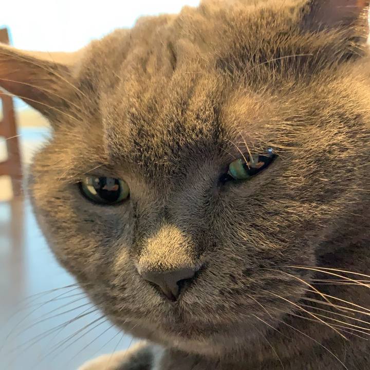 5dc0864c a9d3 4fa7 a702 7ebb3725cb9e 1613180407446