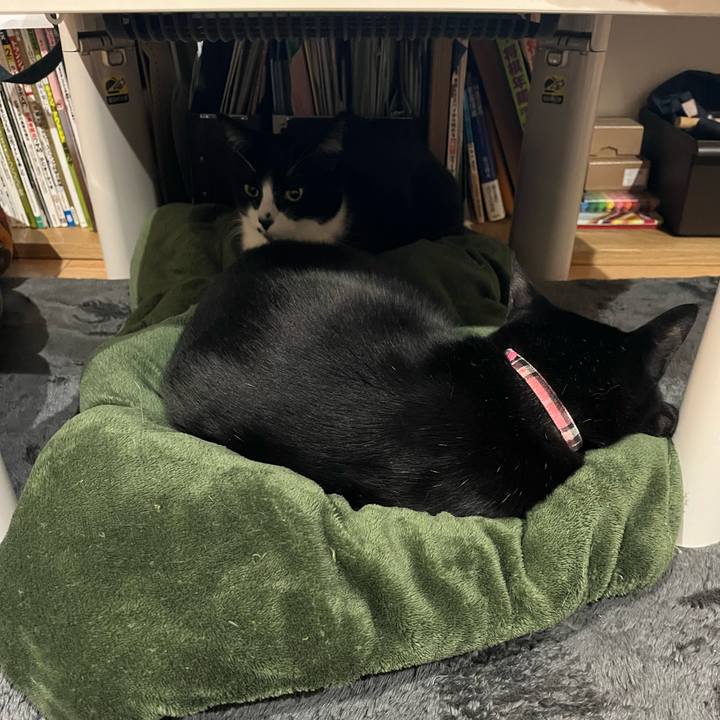 5dc0f78e c8eb 4903 8686 a9e8e56cb53b 1672383316645