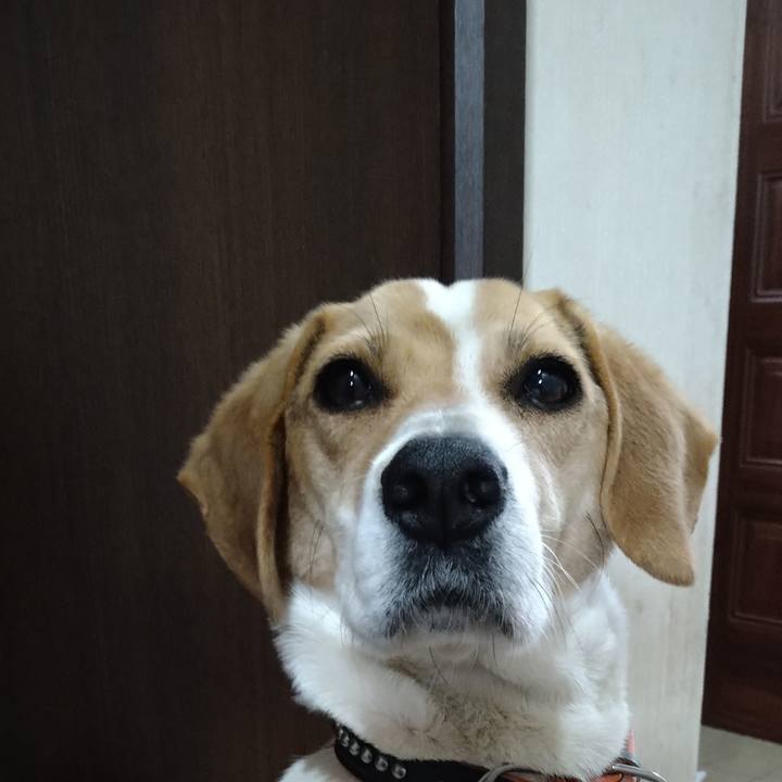 5dc0f8d7 208e 40f0 904f fd0a43272544 1625800192784