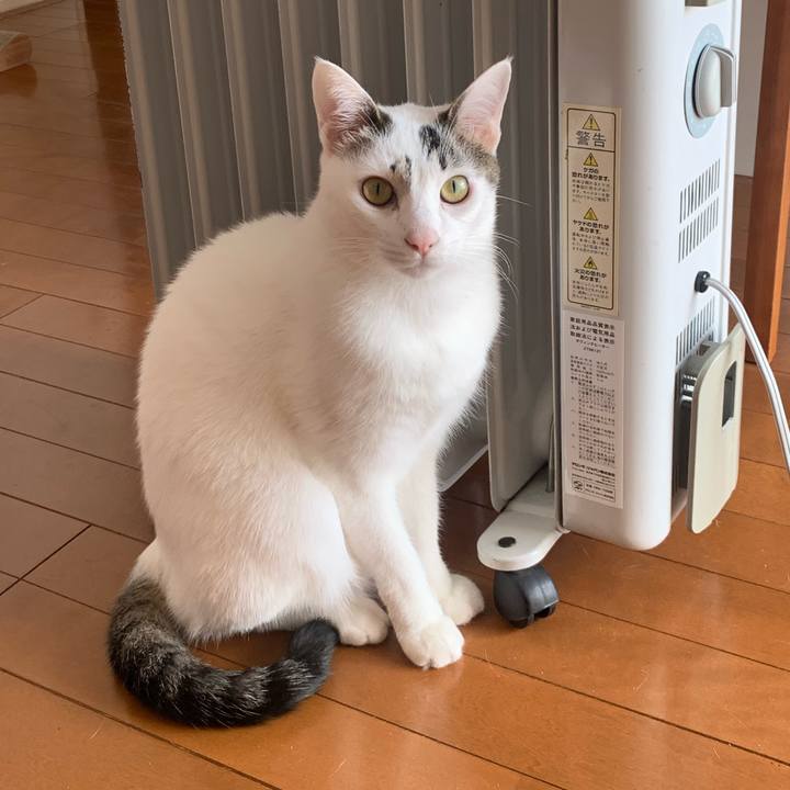 5dc13417 8498 4c33 bb0b e079421b2050 1640613555452