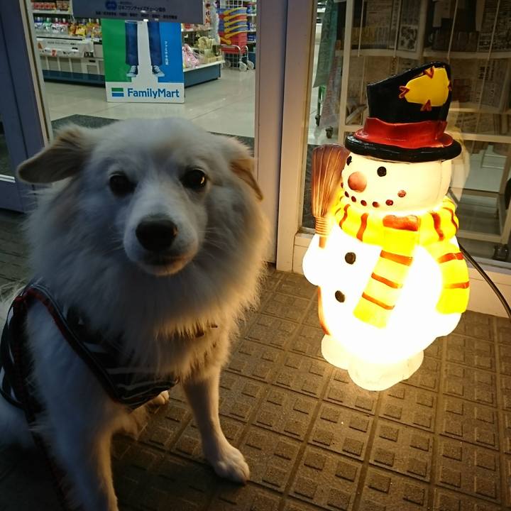 5dc148d2 1b15 4bd3 8307 665f5de394d9 1513806208777