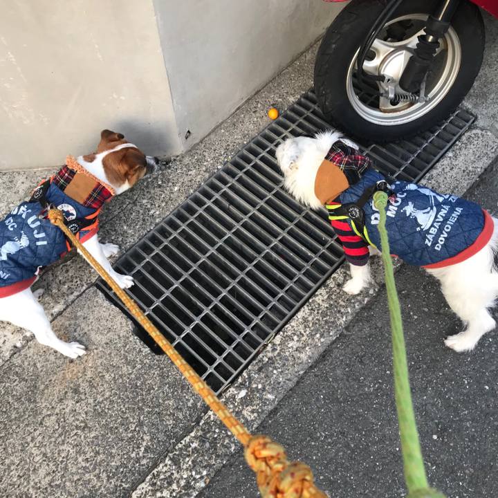 5dc17b72 b965 4727 b2f7 4bc521e89102 1521017184789