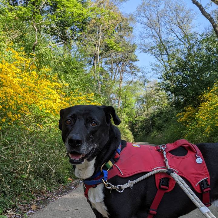 5dc1bb86 e93c 43fe bb77 9d7fc5639796 1680313436716