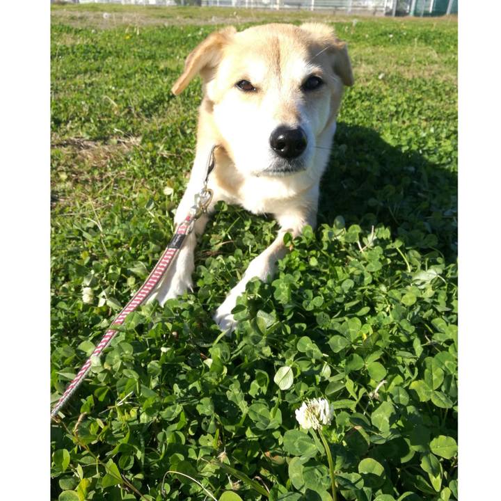 5dc1d385 229a 40cb 83dd c327b4f3cc71 1544771546978