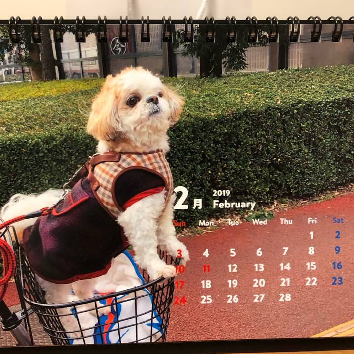 5dc2139f 9b53 49e8 91cb 0b25d7ff33af 1549576143843