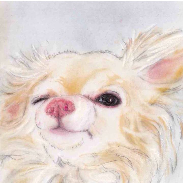 5dc21b6c c88f 40dd 8c0f 95c936f6771e 1657166032148