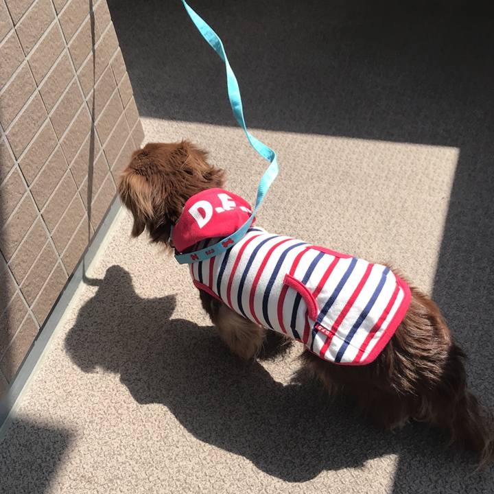 5dc26ceb a9e4 42e1 a133 47ea9a678d37 1587517990827