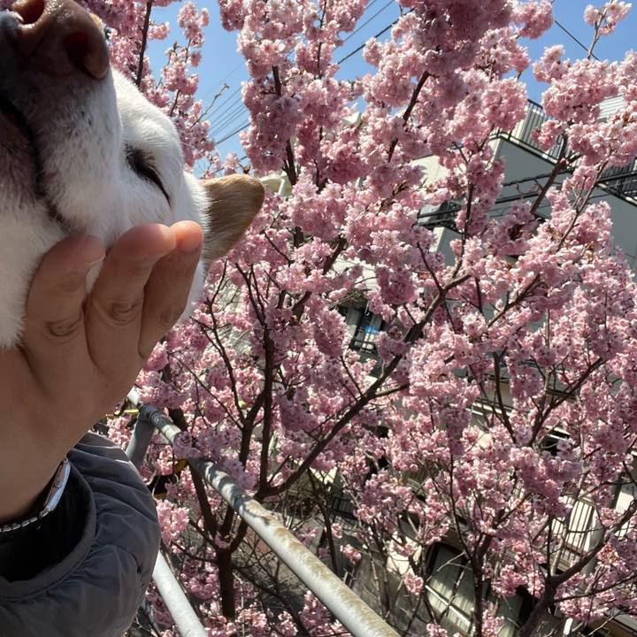 5dc28136 04db 4204 bceb 81fc8a8deb1f 1646913935641