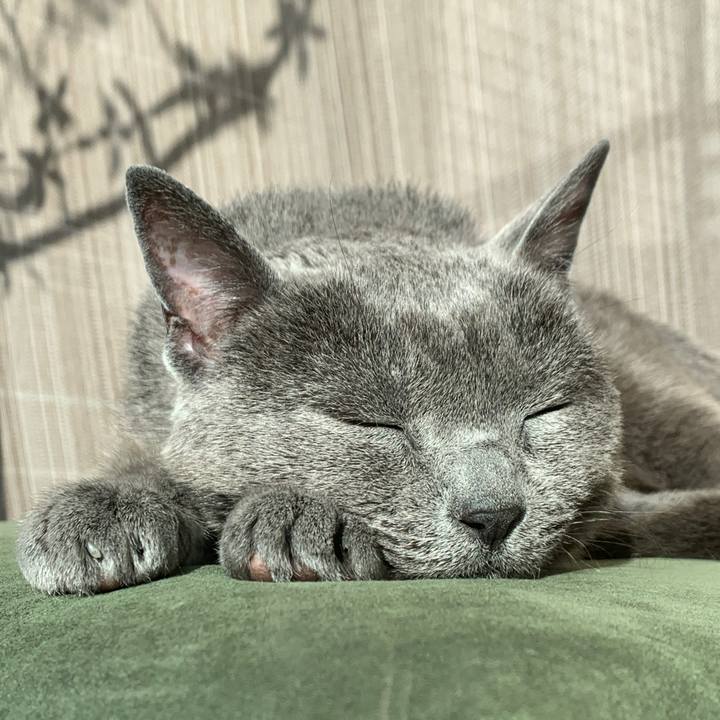 5dc28b9e 882a 4162 aed2 80f9ca828150 1639786987081