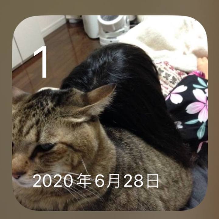 5dc292c0 de83 4c85 aa21 9b483afcda9b 1688217414013