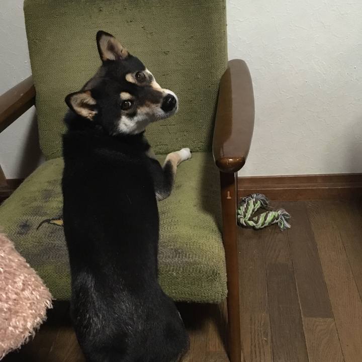 5dc2db3a 49e2 4023 9d05 b7320d166a58 1524609718344