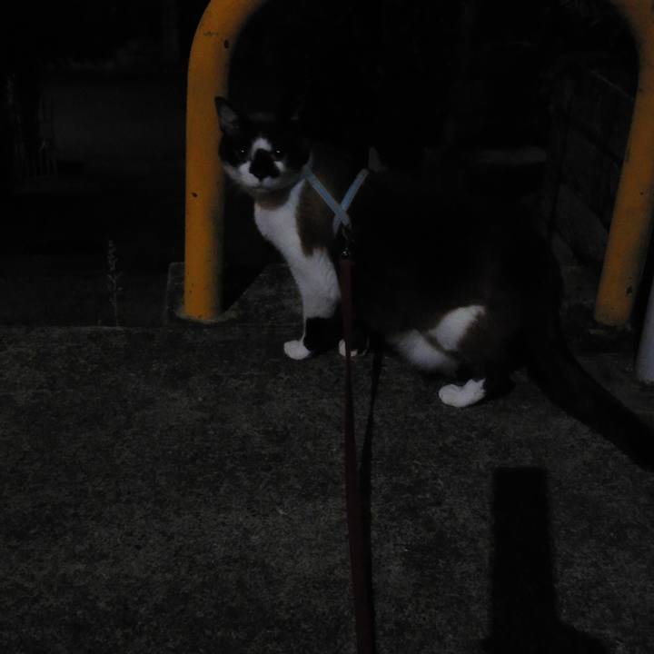 5dc32fcf 13a0 460d b3c9 d57dd11507f7 1530057682210