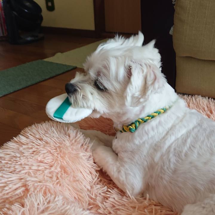 5dc390f3 aec9 4e63 9466 b91699940d5a 1596628596524