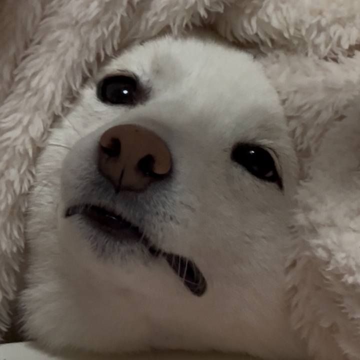 5dc392a7 89df 4403 924b 5638e367f998 1764158900598