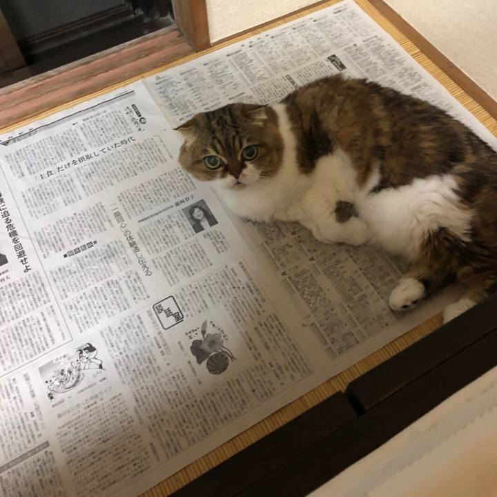 5dc3bc53 3fc4 4c8b a2de 77368911b0fd 1537280712416