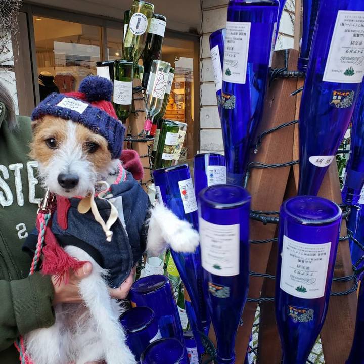 5dc3ec09 a716 4afb 9ebc 7dc1a1304663 1575107166780