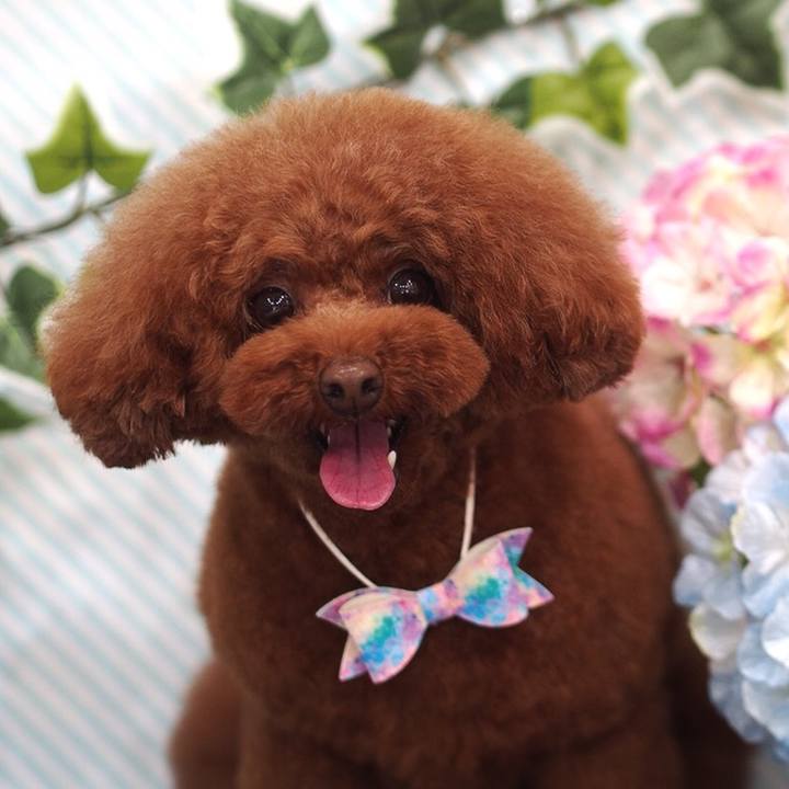 5dc3f3e2 52a7 4d36 88c7 a7ac1b8e9abe 1530062001959