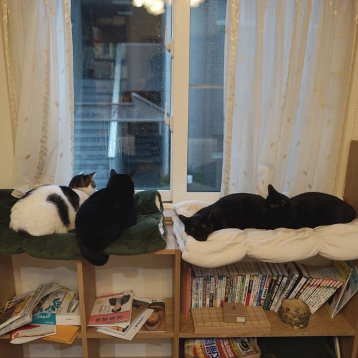 5dc412be 45de 4e36 9299 5a3fc2a6ddb9 1544571787738