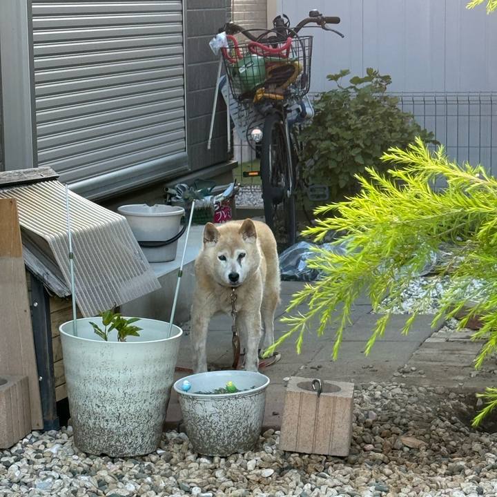 5dc463c5 e784 4dbc 9814 21211a12bc84 1723421973190