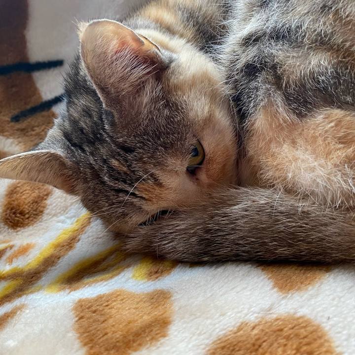 5dc46551 d6f6 4e94 8978 ecfe469a7aa2 1614320060268