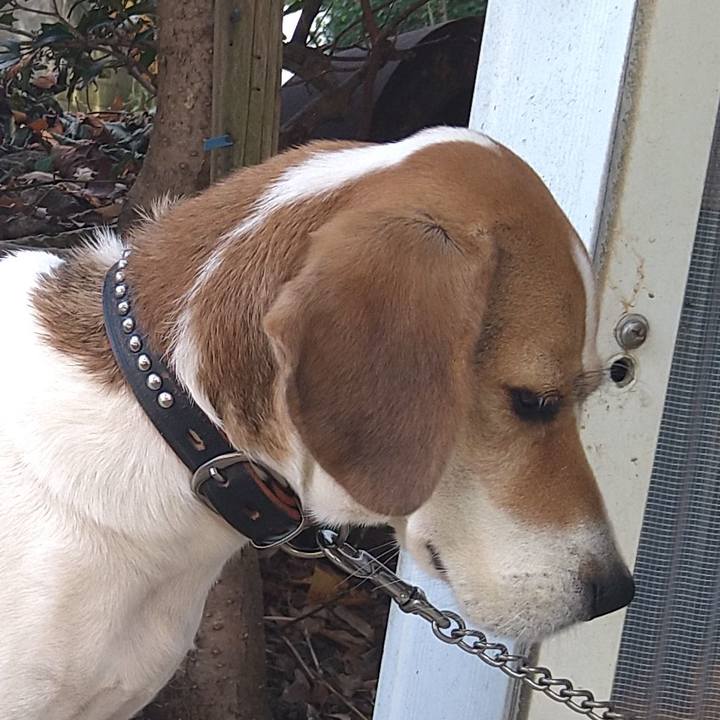 5dc49153 d71c 4835 ba6e 55ecb4b79b0d 1636005349960