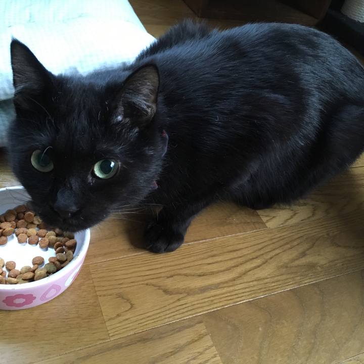 5dc49a60 cac6 4a08 b838 5a4c0ca32b84 1532242566361