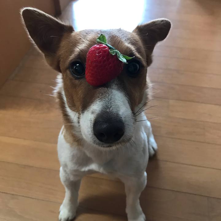 5dc49e07 8a47 4ac8 921a 3bc2633421d3 1640857816502