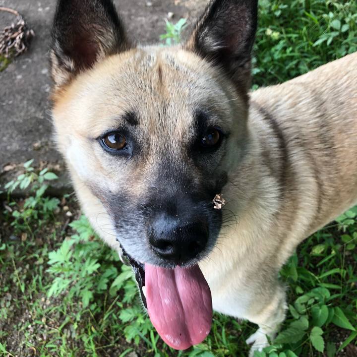 5dc4c82a 8c33 467b 8c5a 8270ad085ed5 1568459596340