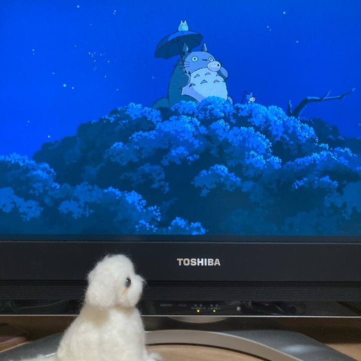 5dc51365 7a54 4840 888a 96f7c1e1903e 1660917050555