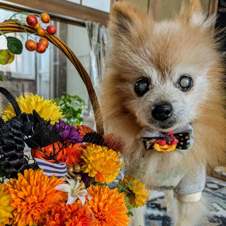 5dc51a06 3a35 4bdb 93e3 18ef12c1fc8e 1730326222066