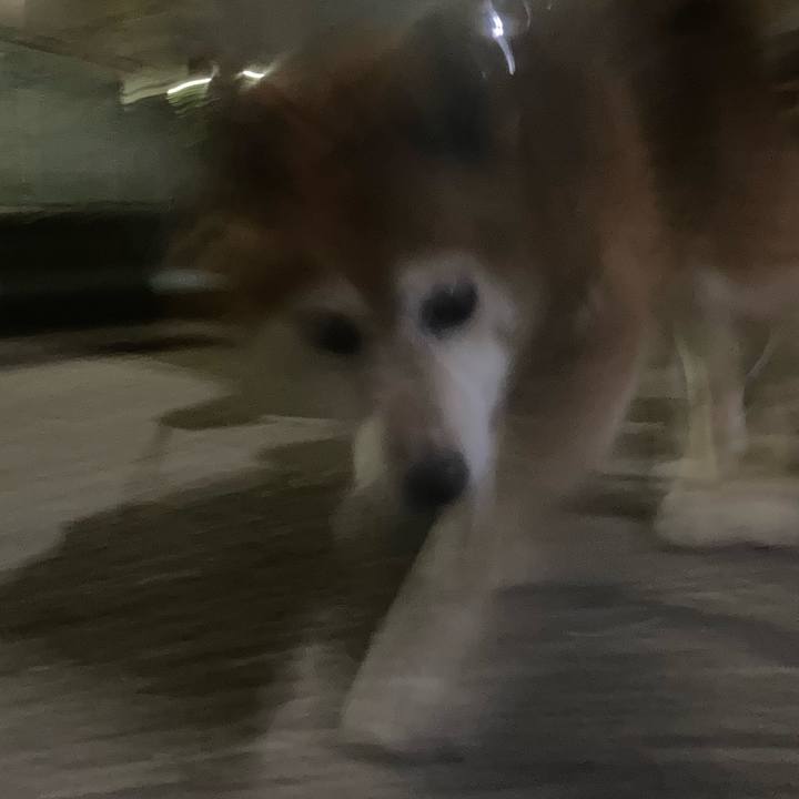 5dc520e8 a232 4bfd 8424 3aa228d0beb8 1684753560245