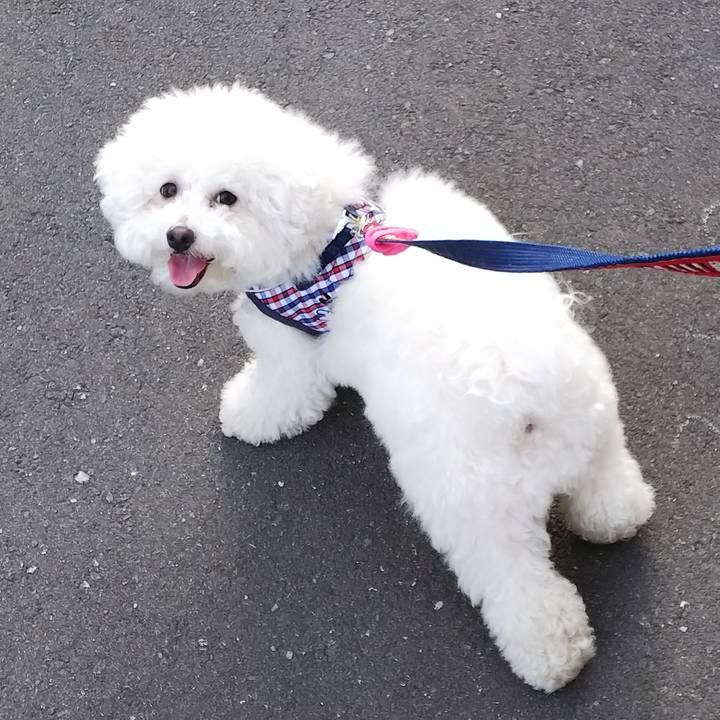 5dc53298 2cb2 4b2e 8ce8 2773cbe8622f 1526114639357