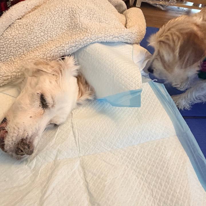 5dc5857b 829c 4b30 80f5 f0334c88602f 1765426734637