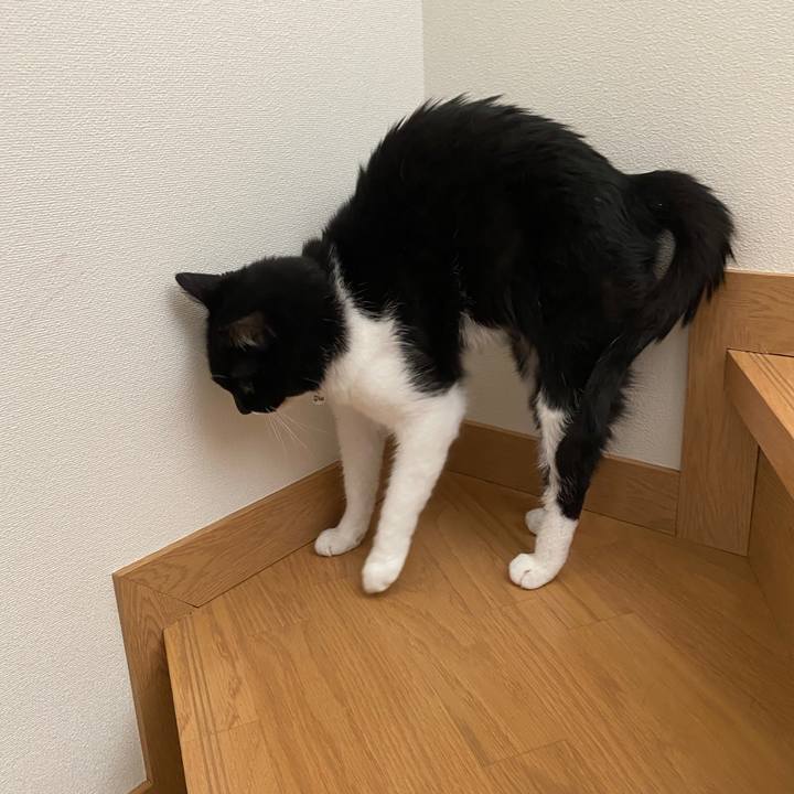 5dc5aff3 59bb 42cb 95a3 823e8520ebb7 1628690635733