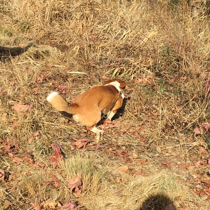 5dc5ef00 7938 4a55 b6cf 124a538eefbf 1608685823018